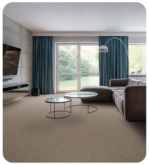 low pile carpet in living room